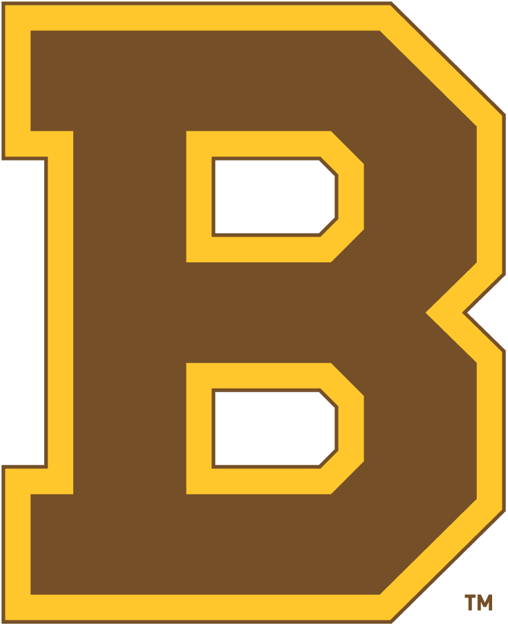 Boston Bruins 1932-1934 Primary Logo fabric transfer